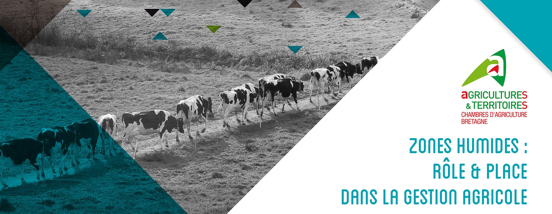 Guide-Zones-humides-Chambre-agriculture Guide des zones humides, communication Chambre agriculture de Bretagne