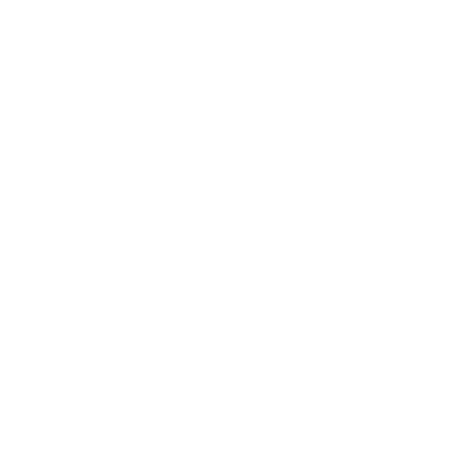 Logo CNRS blanc