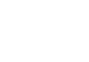 Logo Studio Niko blanc